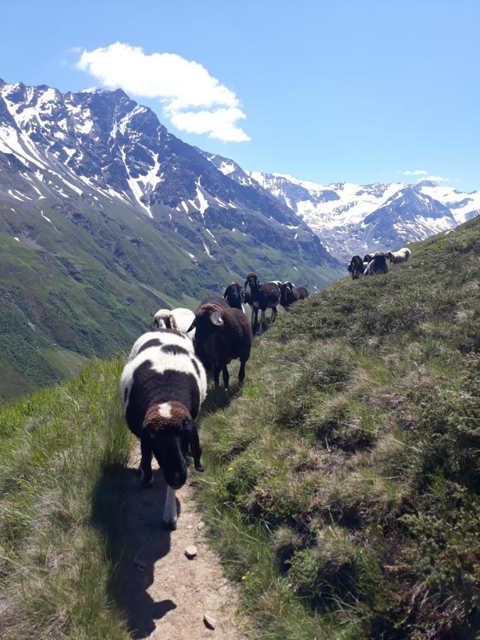 Berg-Juwel Sankt Leonhard im Pitztal Exterior foto